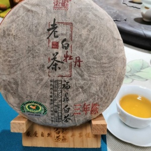 白牡丹