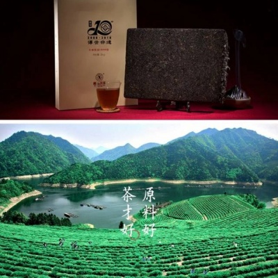 湘益茯茶金花黑茶湖南安化黑茶传世非遗手筑6kg金花茯砖益阳茶厂