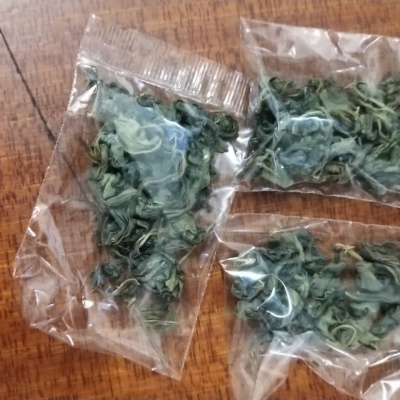 亿虎   野生茶