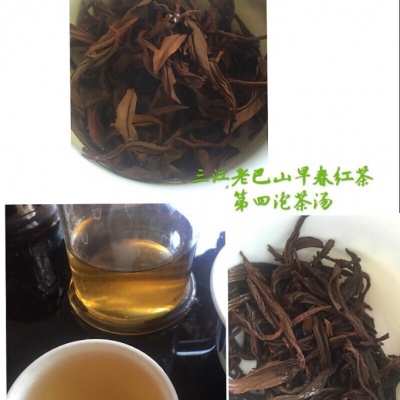 2016三江老巴山早春红茶