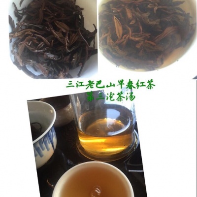 2016三江老巴山早春红茶