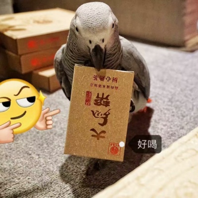 大马帮  厨心熟茶