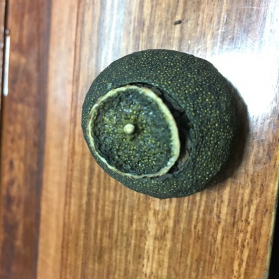叶普轩小青柑