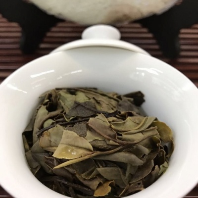 福鼎白茶