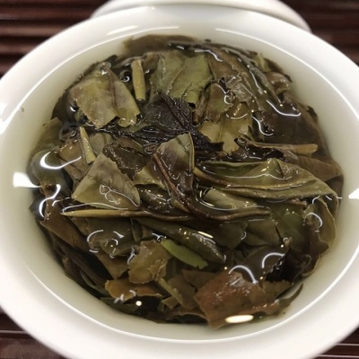 福鼎白茶