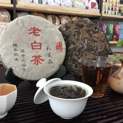 福鼎白茶