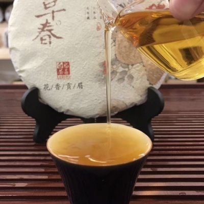 福鼎白茶